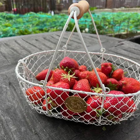 Gasthof Moonfleet Boutique 3*