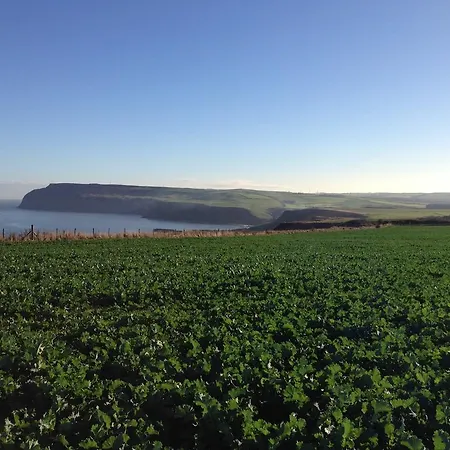 Moonfleet Boutique 3* Skinningrove