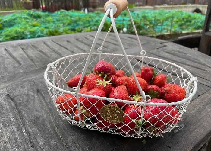 Guest house Moonfleet Boutique 3*