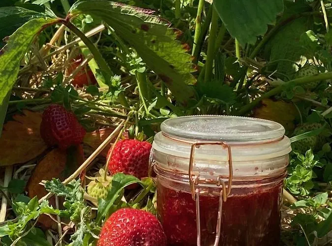 Moonfleet Boutique Guest house 3*