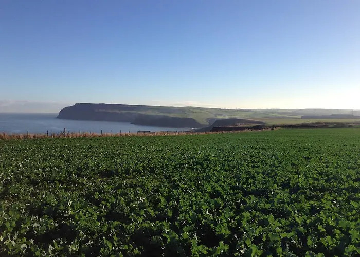 Moonfleet Boutique 3* Skinningrove