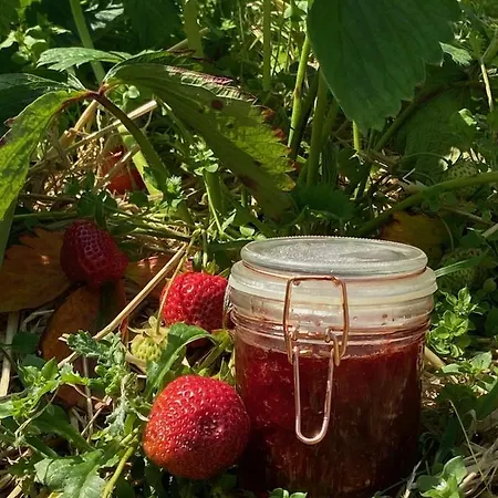 Moonfleet Boutique Konukevi 3*